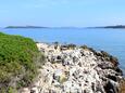 Krknata on the island Dugi otok (North Dalmatia)