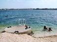 Brodarica, les plages en autour - la côte Šibenik.