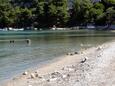 Brodarica, les plages en autour - la côte Šibenik.