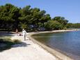 Solaris, les plages en autour - la côte Šibenik.