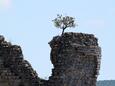 Starigrad sulla riviera Paklenica (Dalmazia Settentrionale)