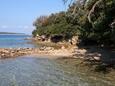 Supetarska Draga - Gonar, les plages en autour - la côte Rab.