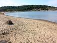 Lopar, les plages en autour - la côte Rab.