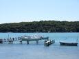 Palit sur l’île Rab (Quarner)