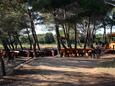 Soline, beaches nearby - riviera Dugi otok.