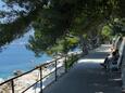 Cavtat in riviera Dubrovnik (Dalmacia sur)
