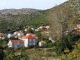 Trsteno dans la côte Dubrovnik (Dalmatie du sud)