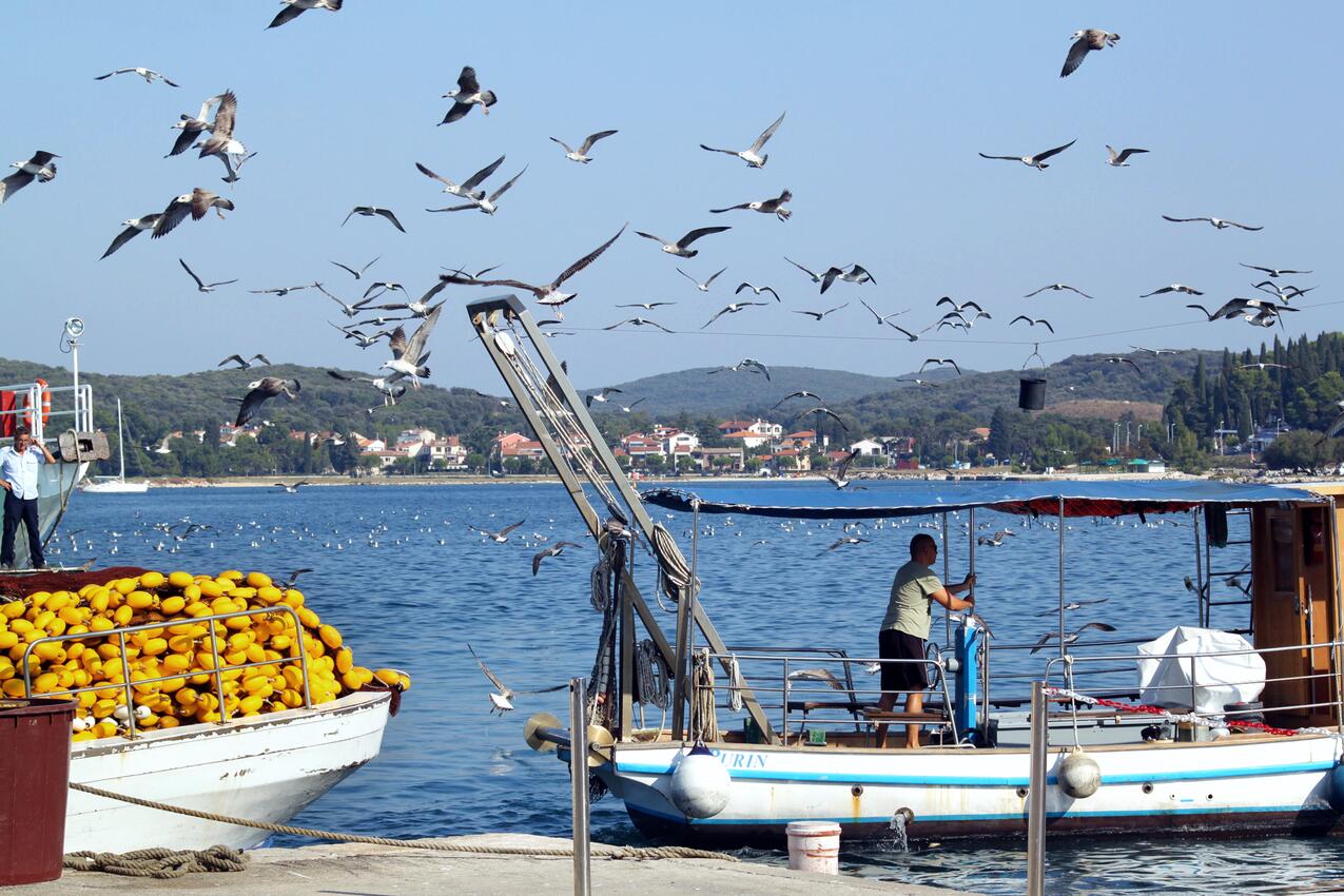 Apartmn Rovinj pro 6