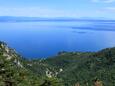 Medveja riviéra Opatija (Kvarner)
