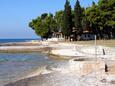 Fažana, les plages en autour - la côte Fažana.