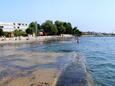 Umag, beaches nearby - riviera Umag.