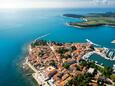 Novigrad an der Riviera Novigrad (Istrien)