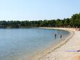 Novigrad, plaže v bližini - riviera Novigrad.