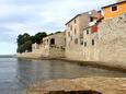 Novigrad, les plages en autour - la côte Novigrad.