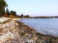 Karigador, les plages en autour - la côte Novigrad.