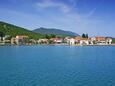 Drače sulla riviera Pelješac (Dalmazia Meridionale)