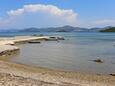 Drače, les plages en autour - la côte Pelješac.