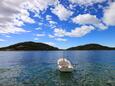 Karbuni auf der Insel  Korčula (Süddalmatien)