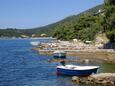 Karbuni auf der Insel  Korčula (Süddalmatien)