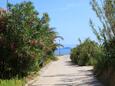 Susak на острове Lošinj (Кварнер)
