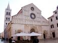 Zadar in riviera Zadar (North Dalmatia)