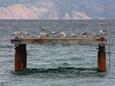 Baška sur l’île Krk (Quarner)