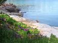 Mudri Dolac, beaches nearby - riviera Hvar.