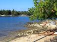 Plage à proximité Dolinci, les plages en autour - la côte Umag.