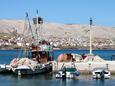 Pag on the island Pag (Kvarner)