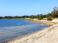 Bašarinka, spiagge nei dintorni - riviera Poreč.