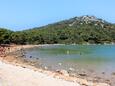 Magrovica - Telašćica na ostrově Dugi otok (Severní Dalmácie)