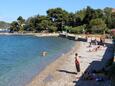 Poljana, les plages en autour - la côte Ugljan.