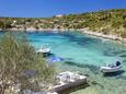 Stratinčica auf der Insel  Korčula (Süddalmatien)