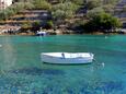 Stratinčica auf der Insel  Korčula (Süddalmatien)