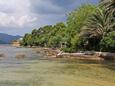 Ston, les plages en autour - la côte Pelješac.