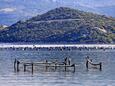 Žuronja in riviera Pelješac (South Dalmatia)