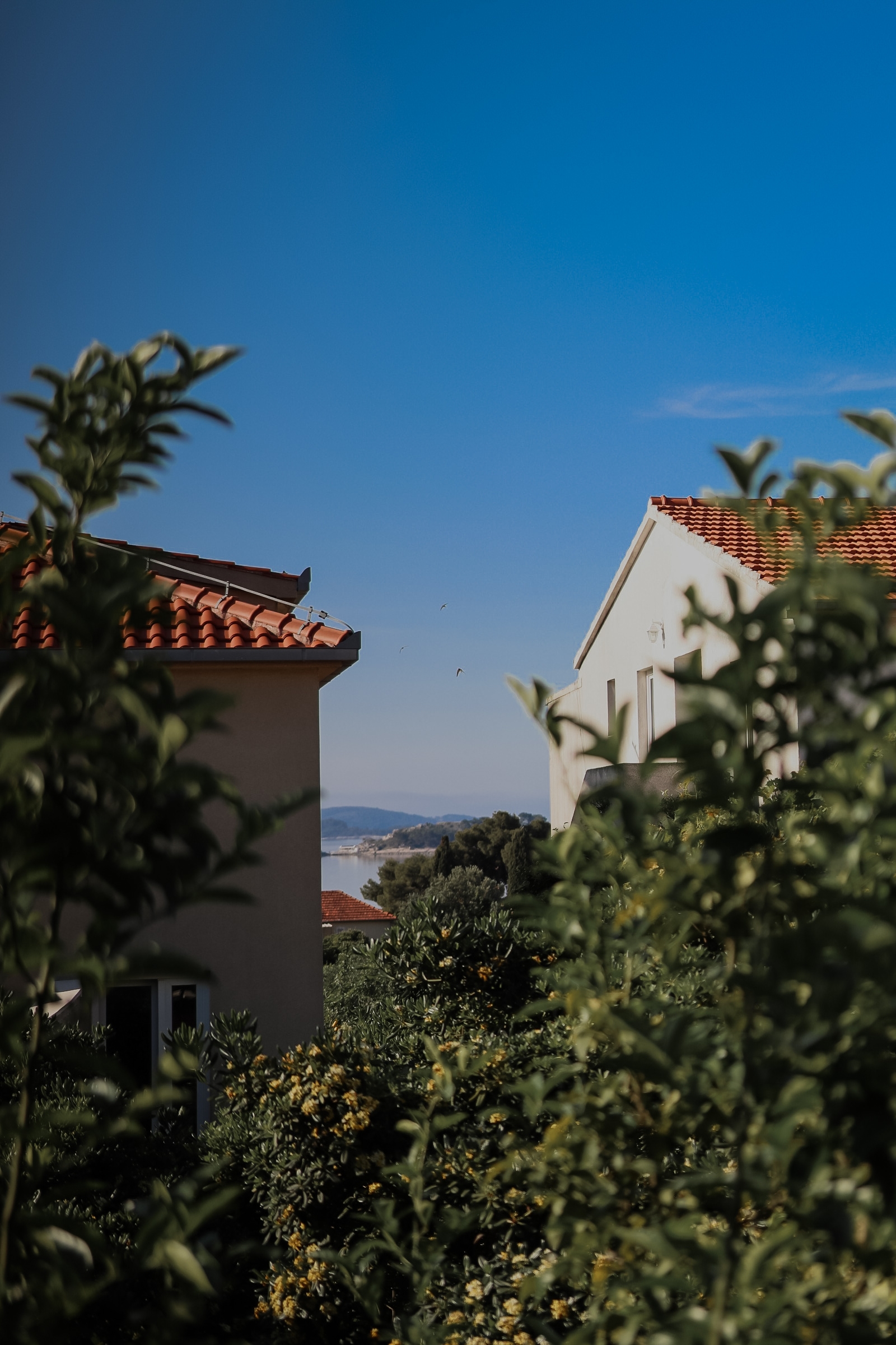 Two bedroom apartment with terrace and sea view Orebić, Pelješac  A-a