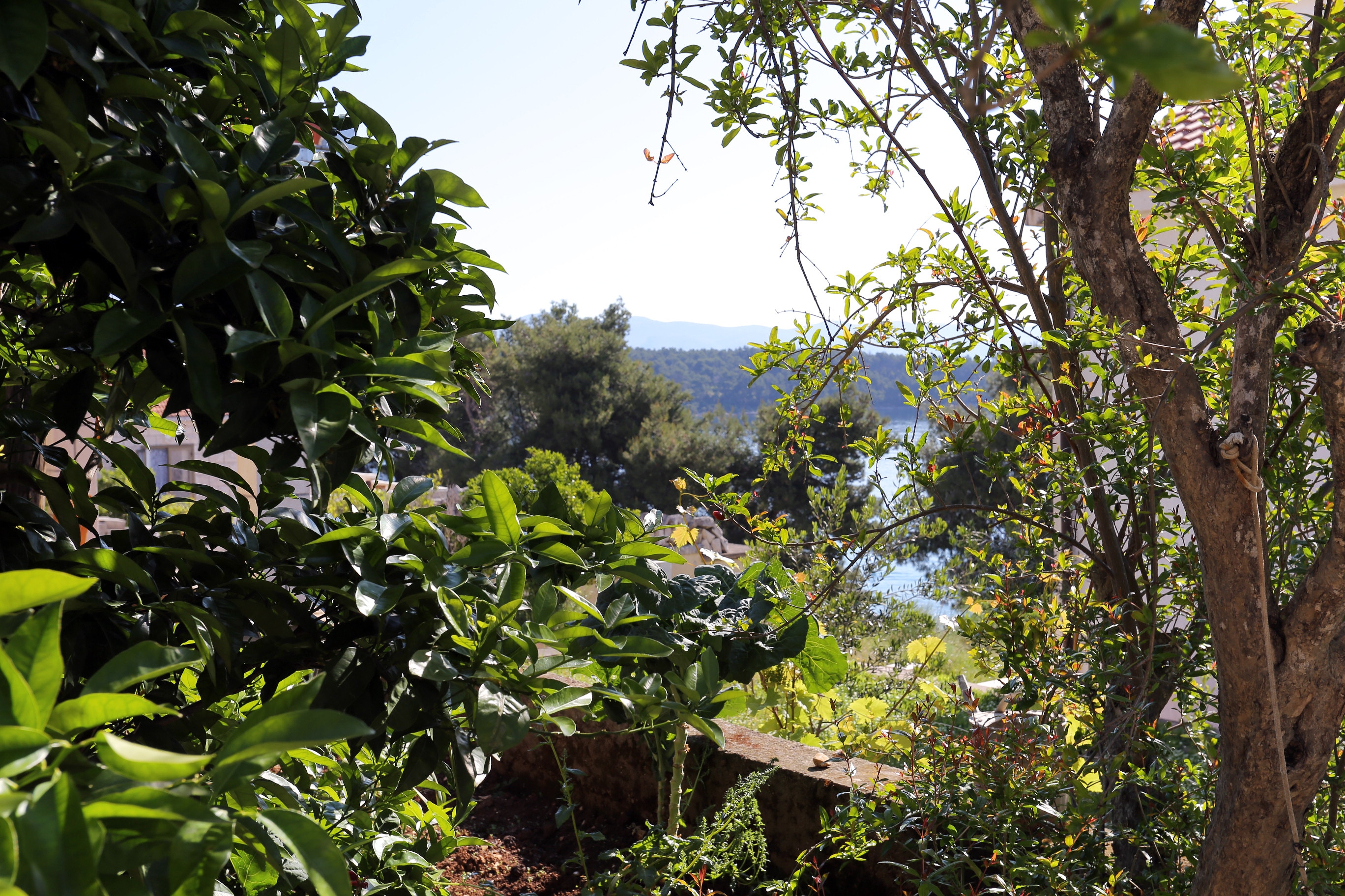 One bedroom apartment near beach Lumbarda, Korčula  A-c