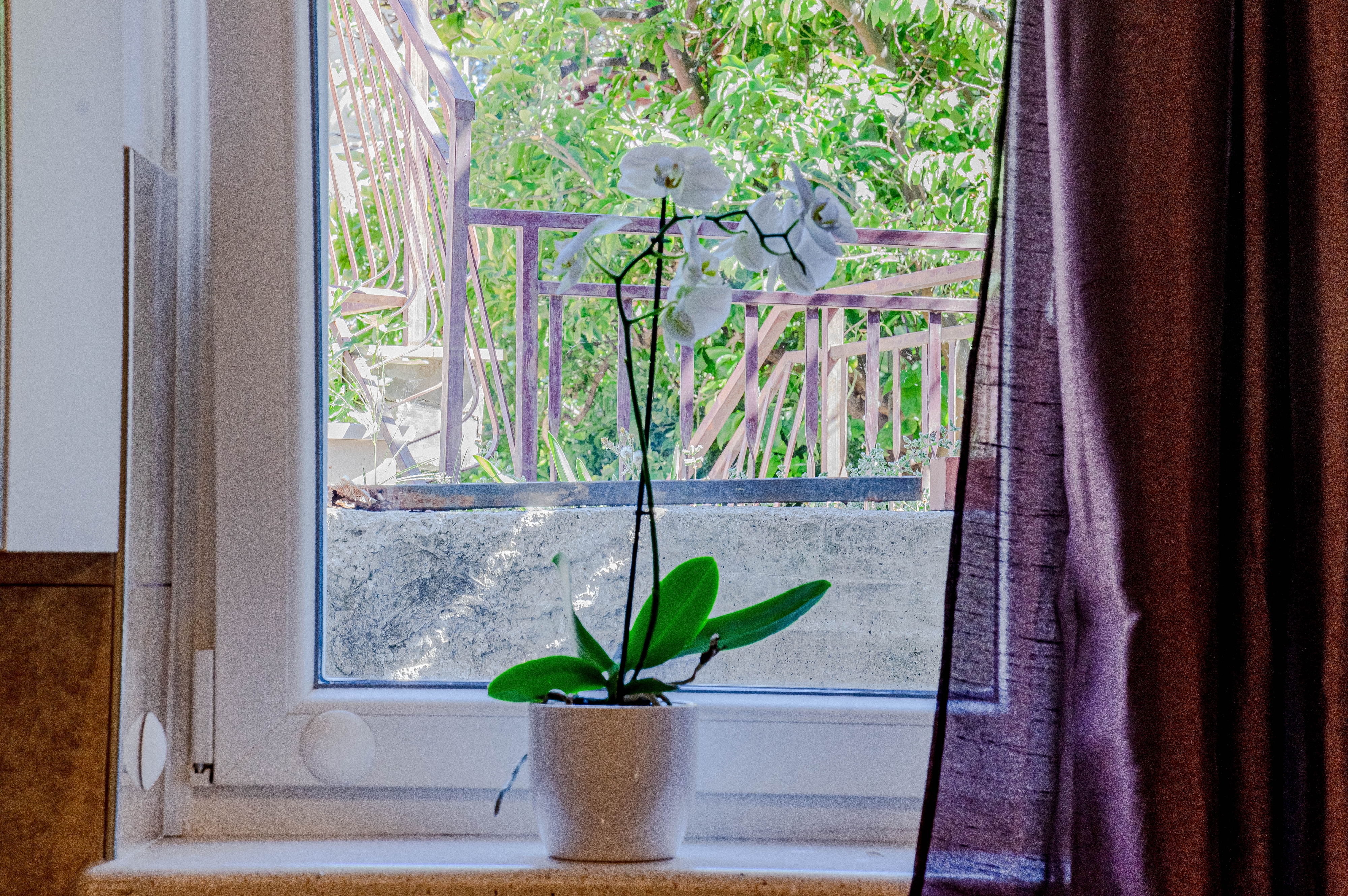 Studio flat with terrace Korčula (AS-10051-b)