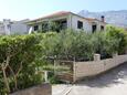 Apartments Orebić (Pelješac) - 10104