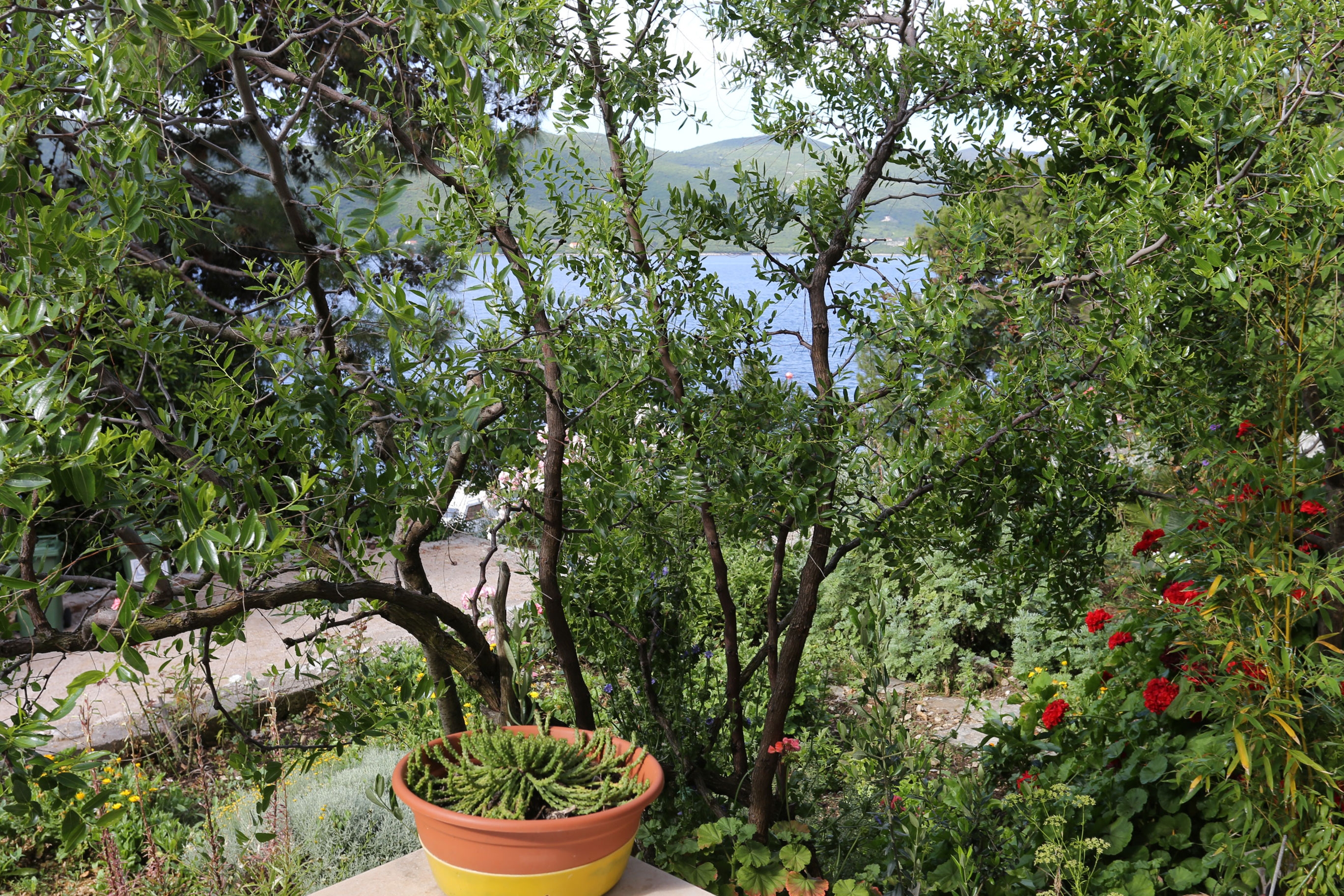 Top Pelješac Viganj Top Pelješac Viganj