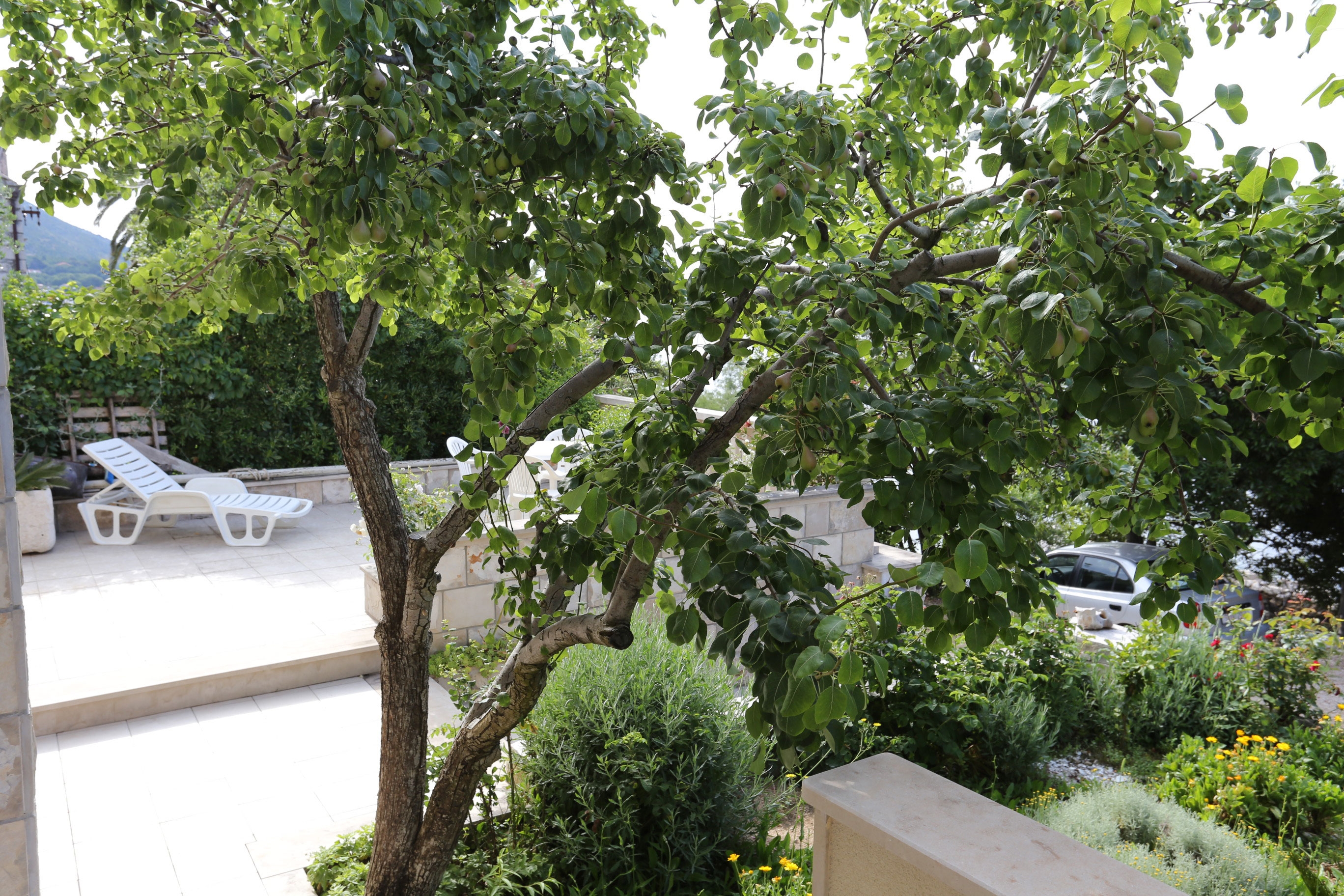 Top Pelješac Viganj Top Pelješac Viganj