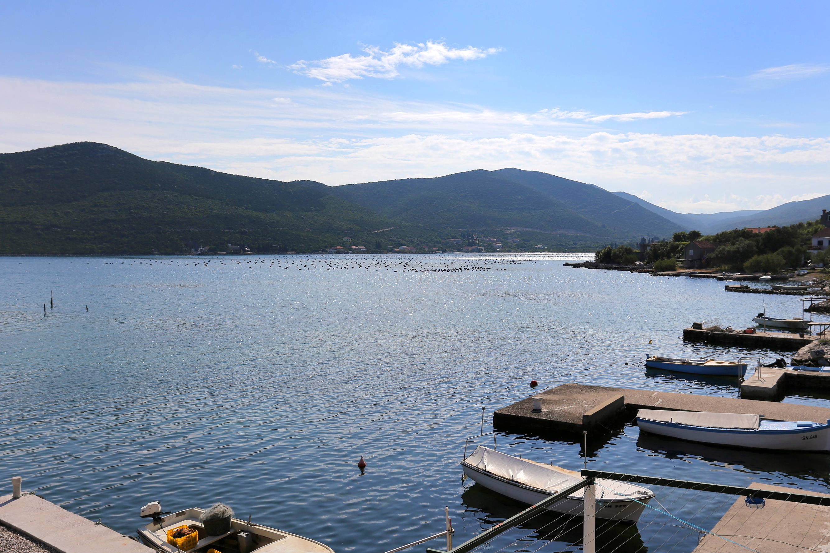 One bedroom apartment near beach Žuronja, Pelješac (A-10123-a)