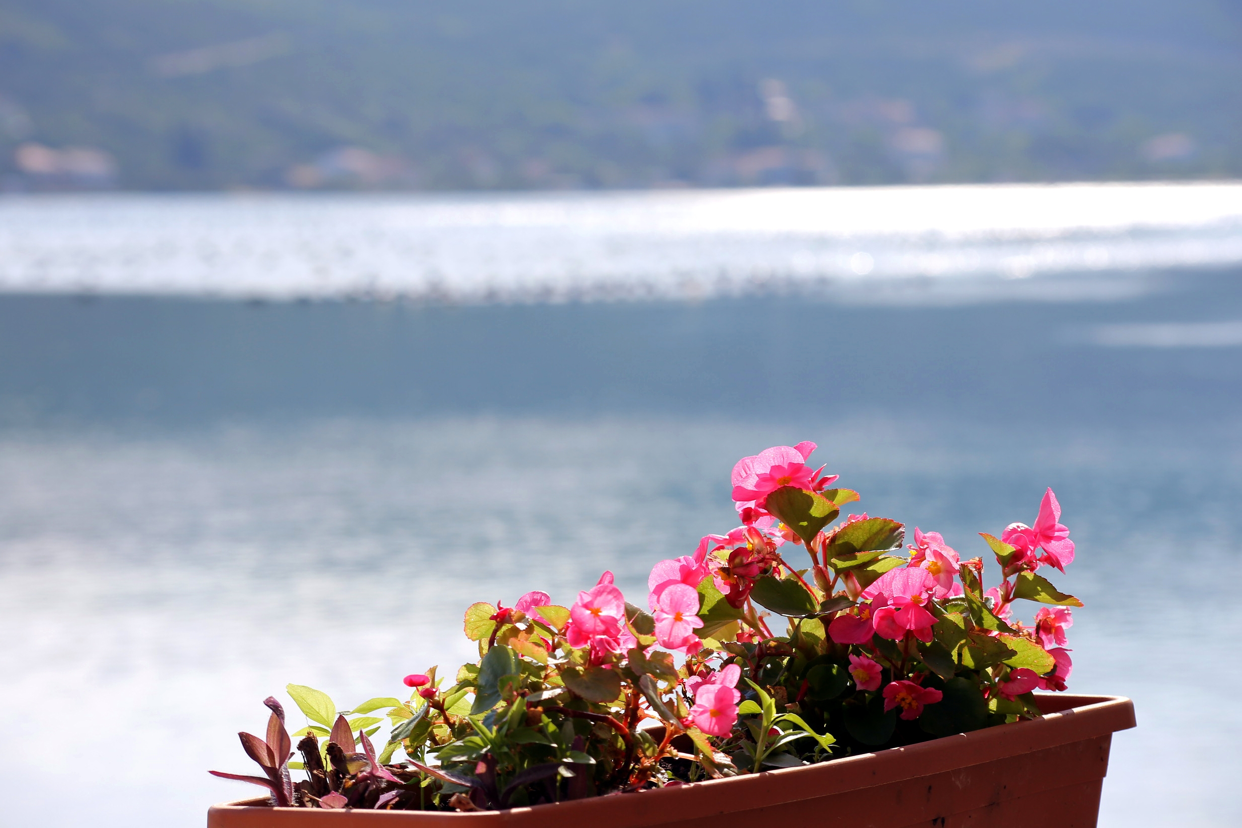 One bedroom apartment near beach Žuronja, Pelješac (A-10123-a)