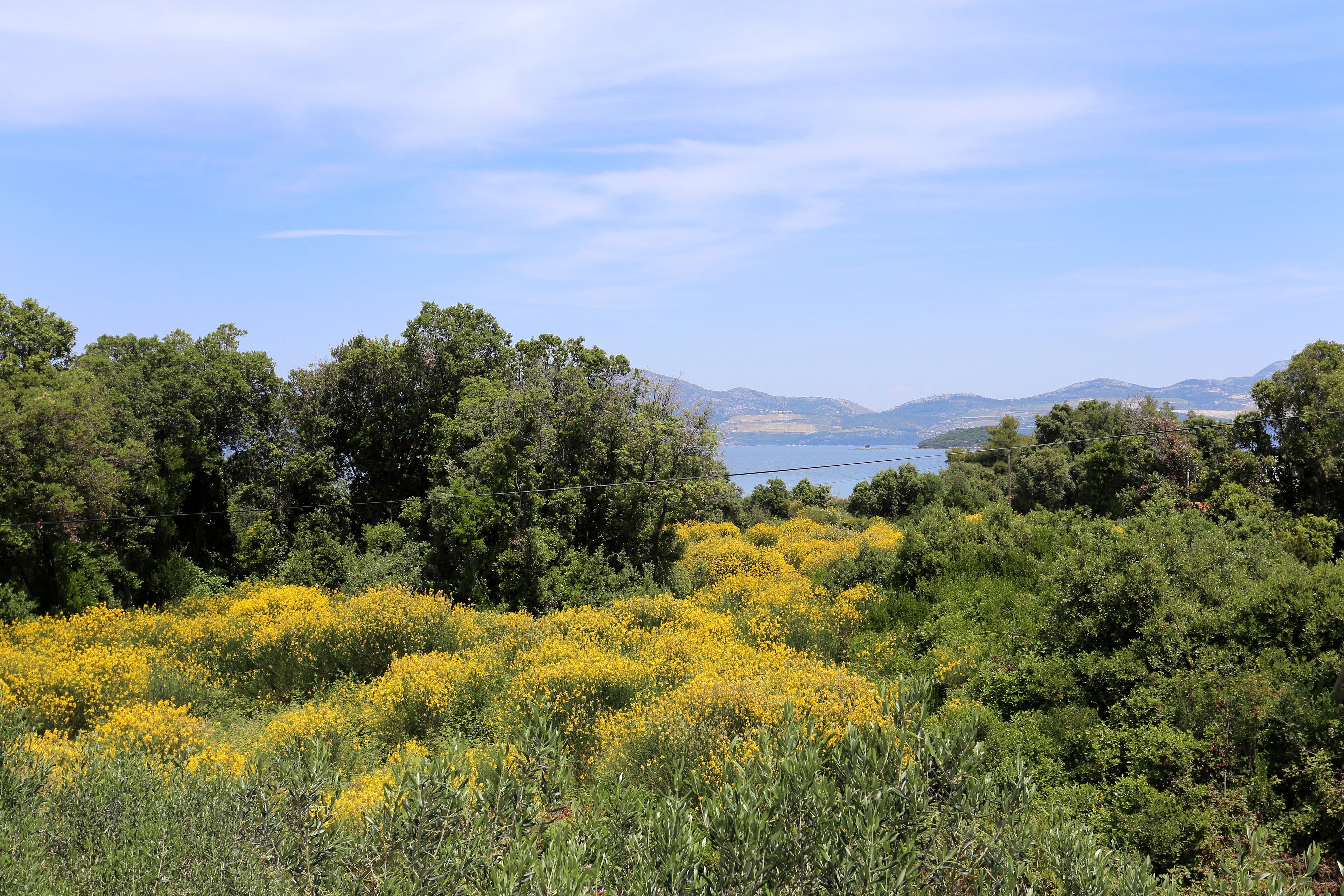 Top Pelješac Drače Top Pelješac Drače