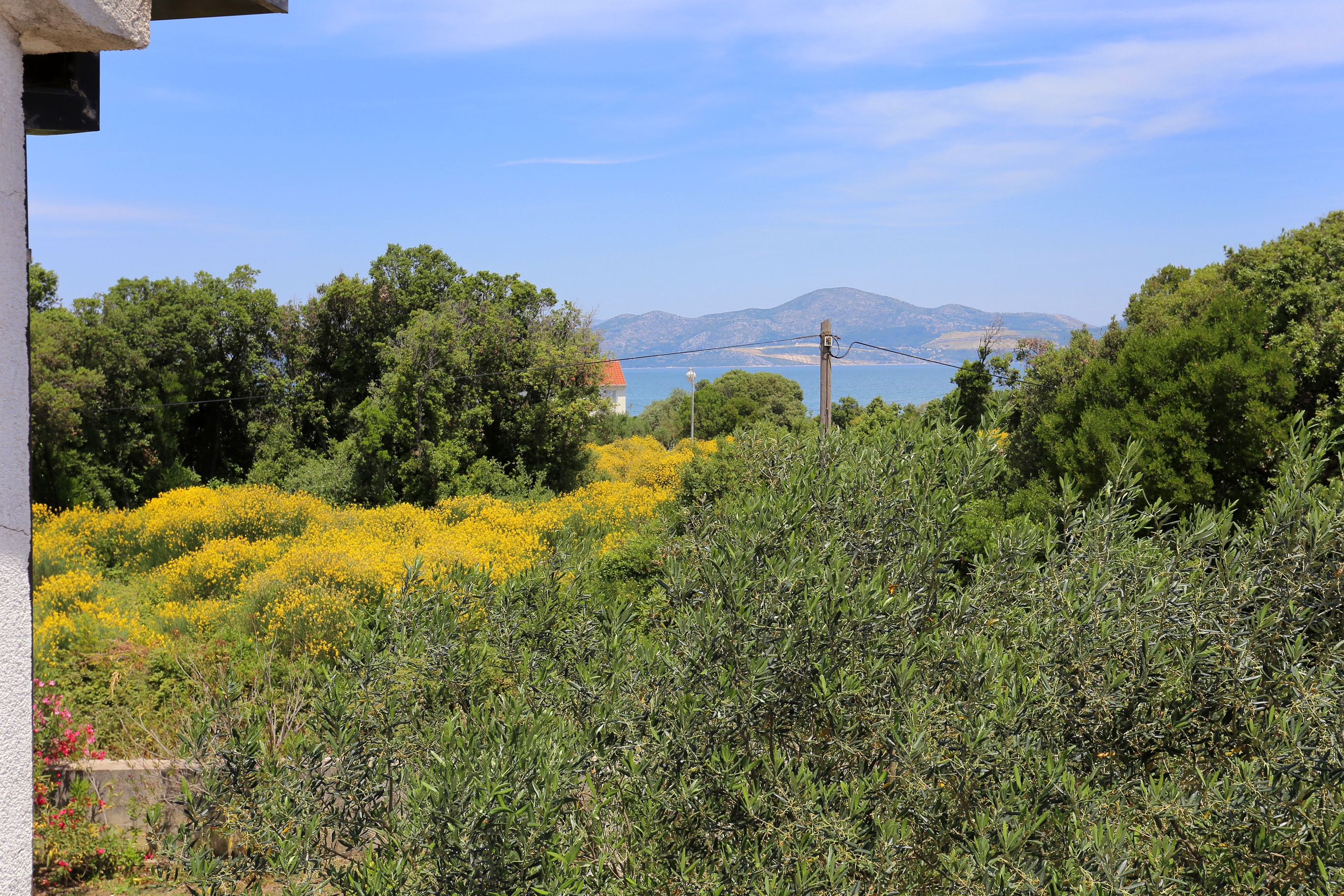 Top Pelješac Drače Top Pelješac Drače