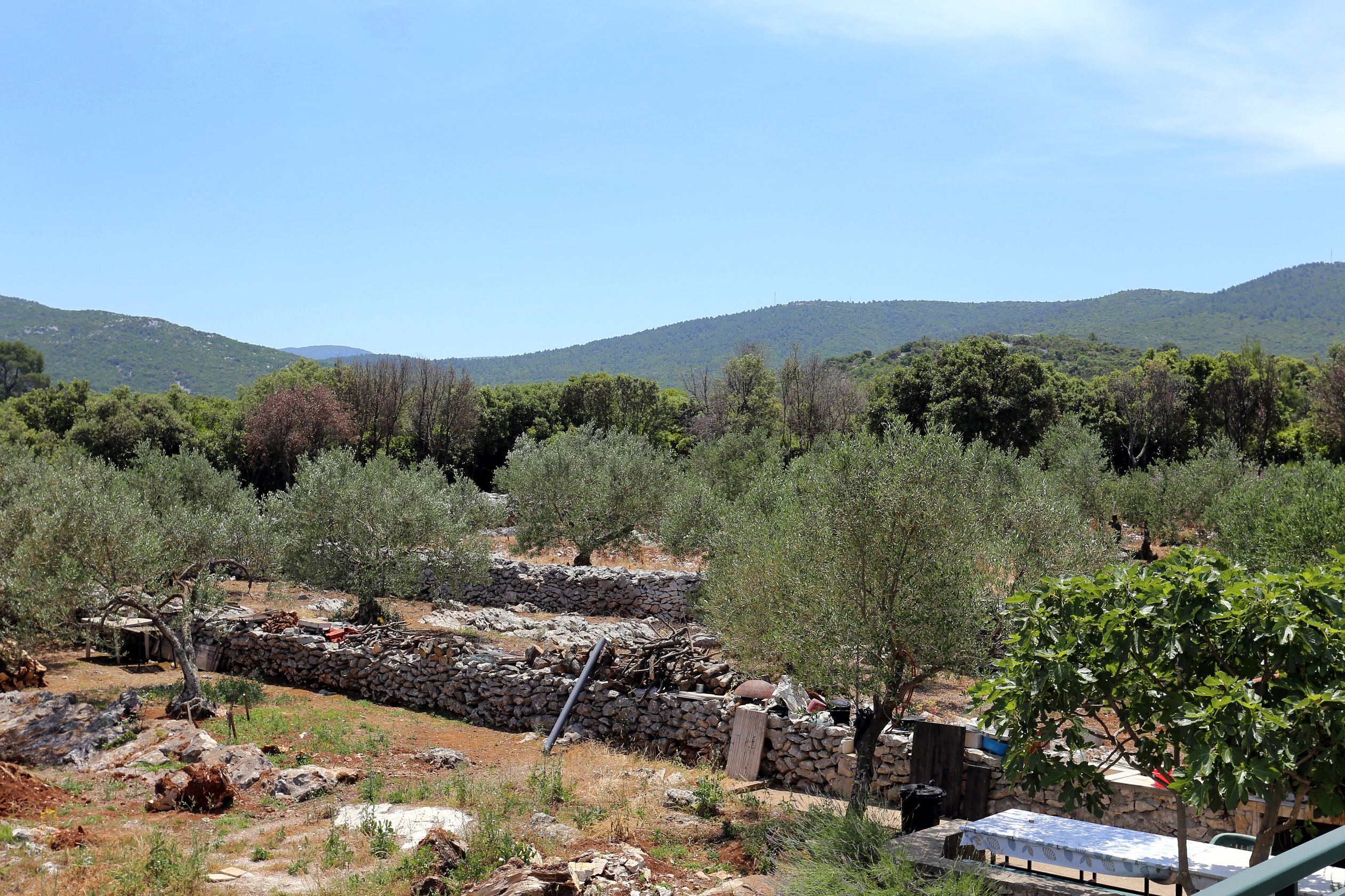 Top Pelješac Drače Top Pelješac Drače