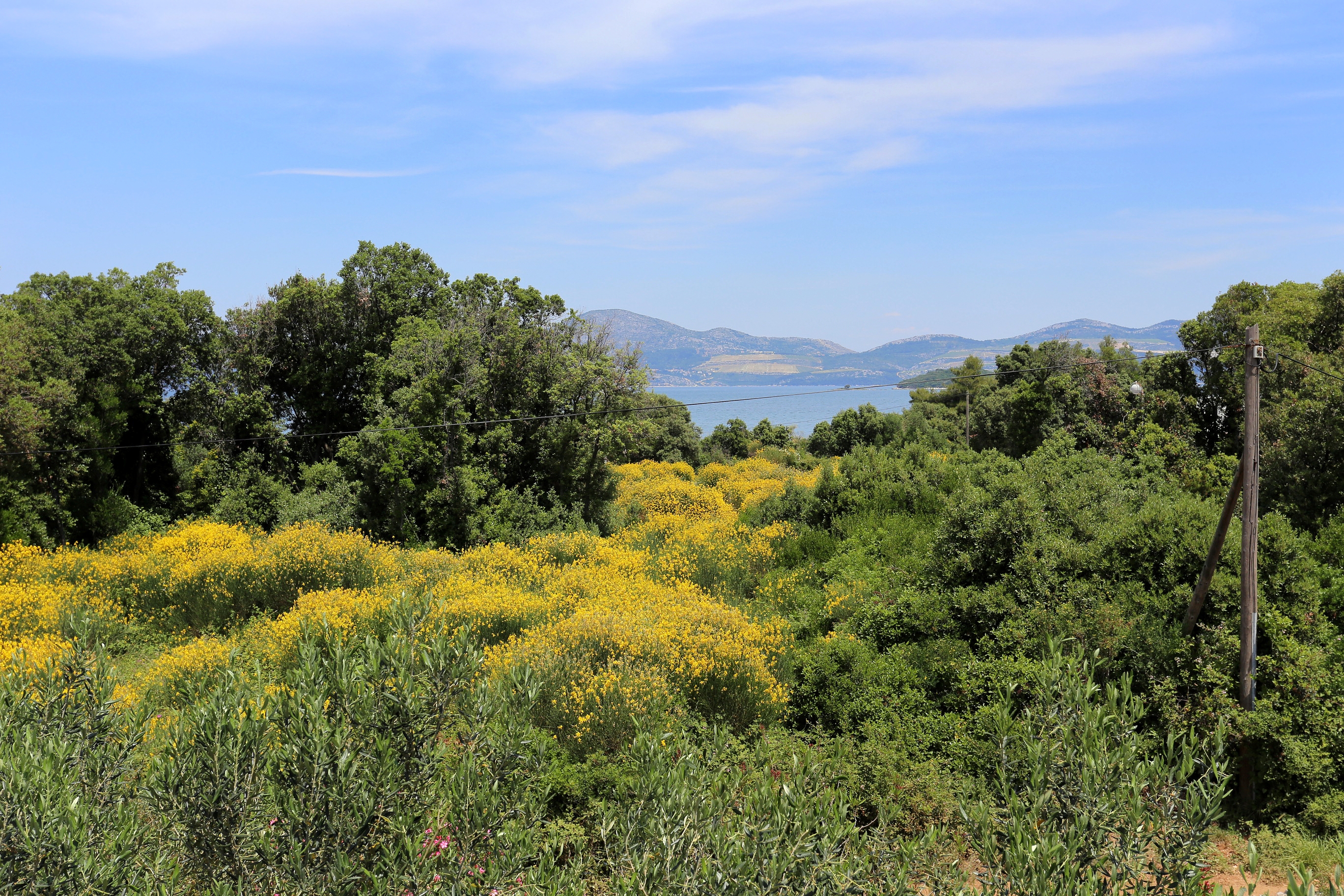 Top Pelješac Drače Top Pelješac Drače