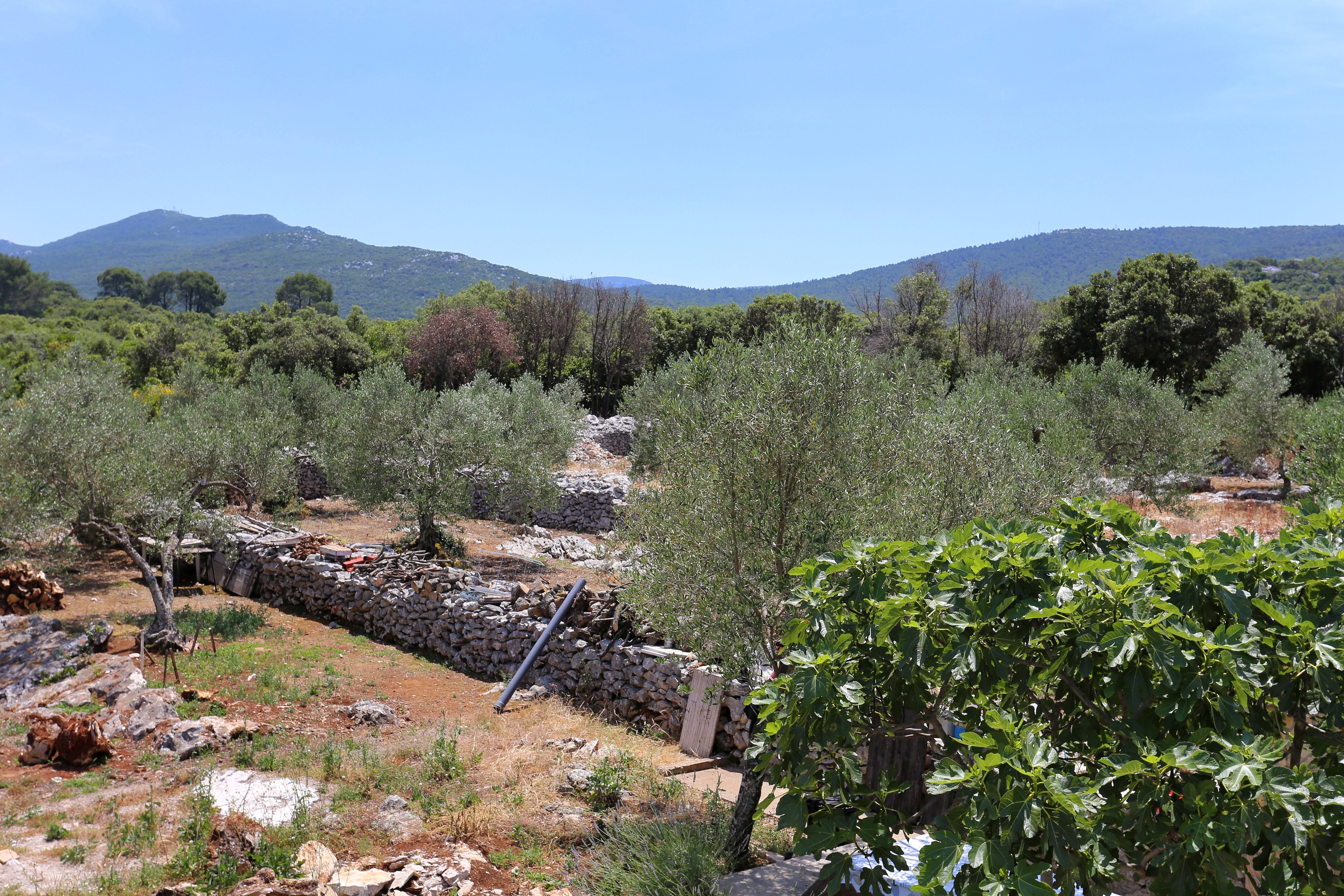 Top Pelješac Drače Top Pelješac Drače