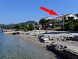 Apartments Drače (Pelješac) - 10130